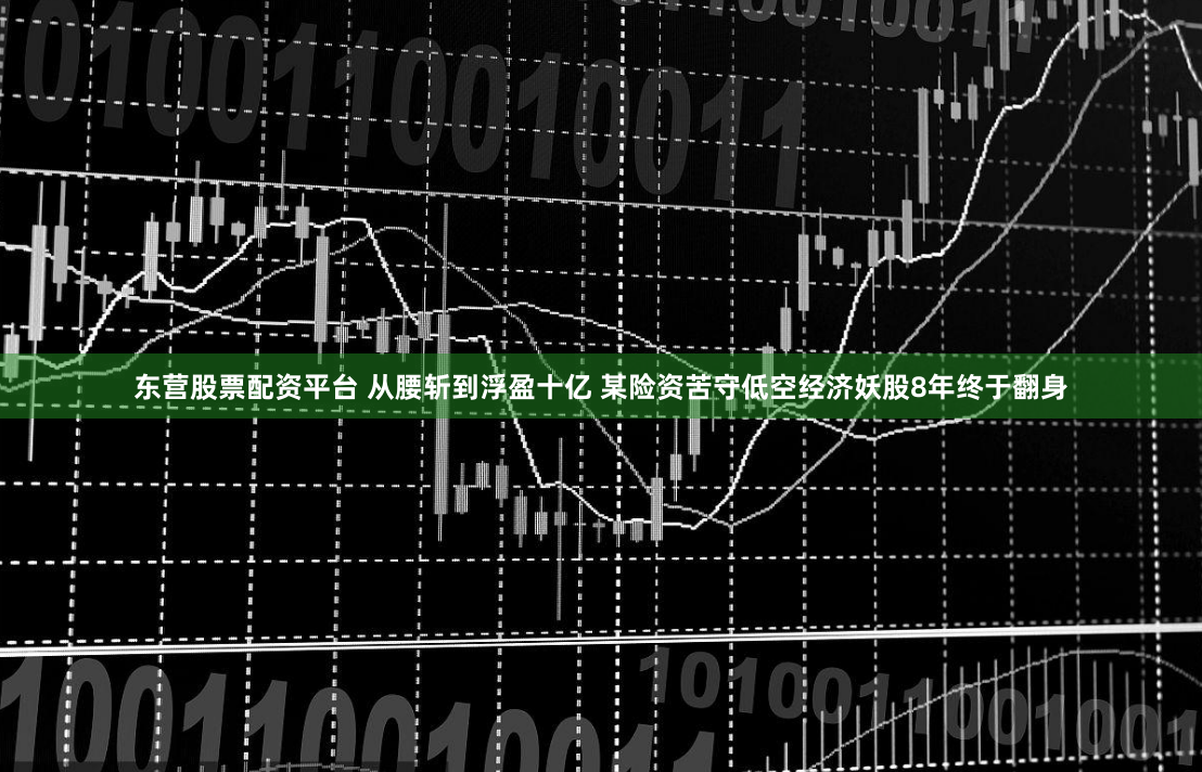 东营股票配资平台 从腰斩到浮盈十亿 某险资苦守低空经济妖股8年终于翻身