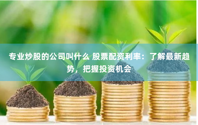 专业炒股的公司叫什么 股票配资利率：了解最新趋势，把握投资机会