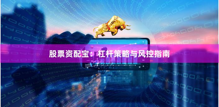 股票资配宝：杠杆策略与风控指南