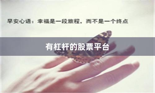 有杠杆的股票平台